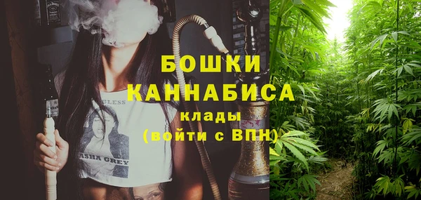 твердый Лагань