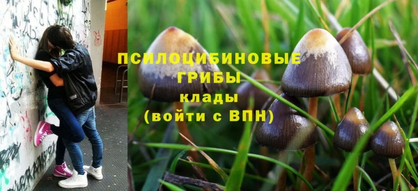 мет Касимов