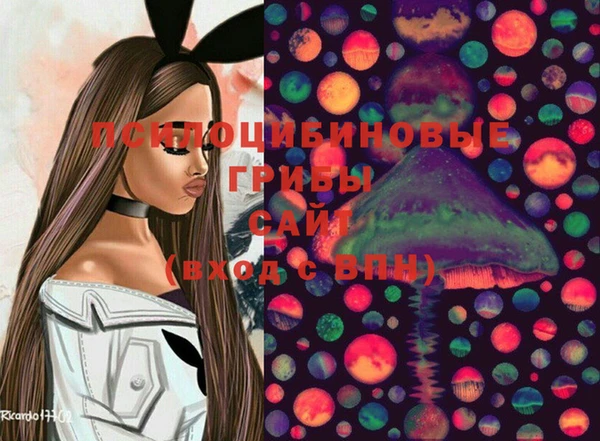 сатива Арсеньев