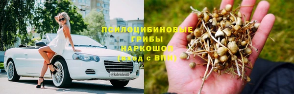 сатива Арсеньев