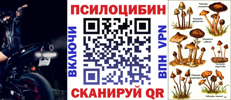 Галлюциногенные грибы Psilocybe Усть-Лабинск